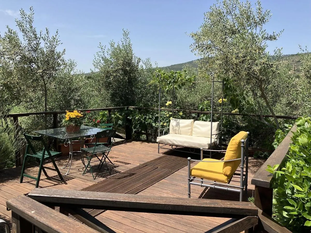 Villa Toppani Del Sodo Cortona