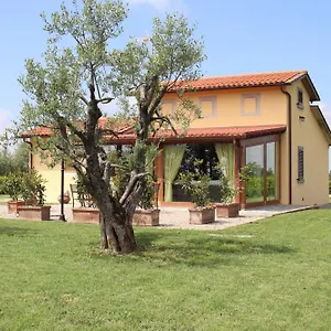Mira Cortona